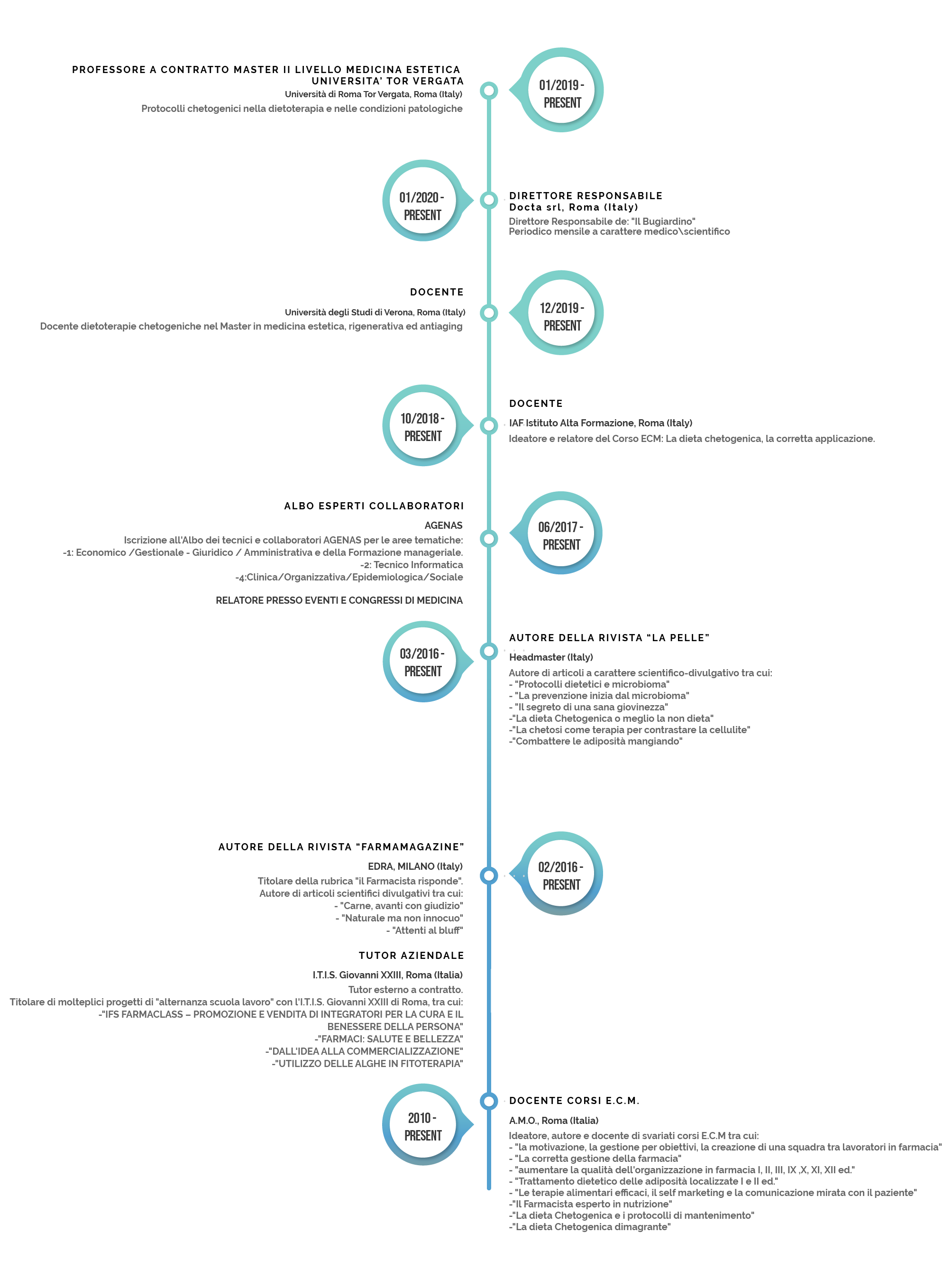CURRICULUM VITAE timeline