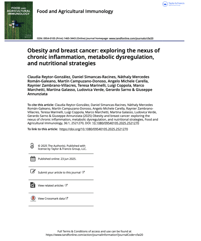 Screenshot 2025-06-26 alle 12.41.05