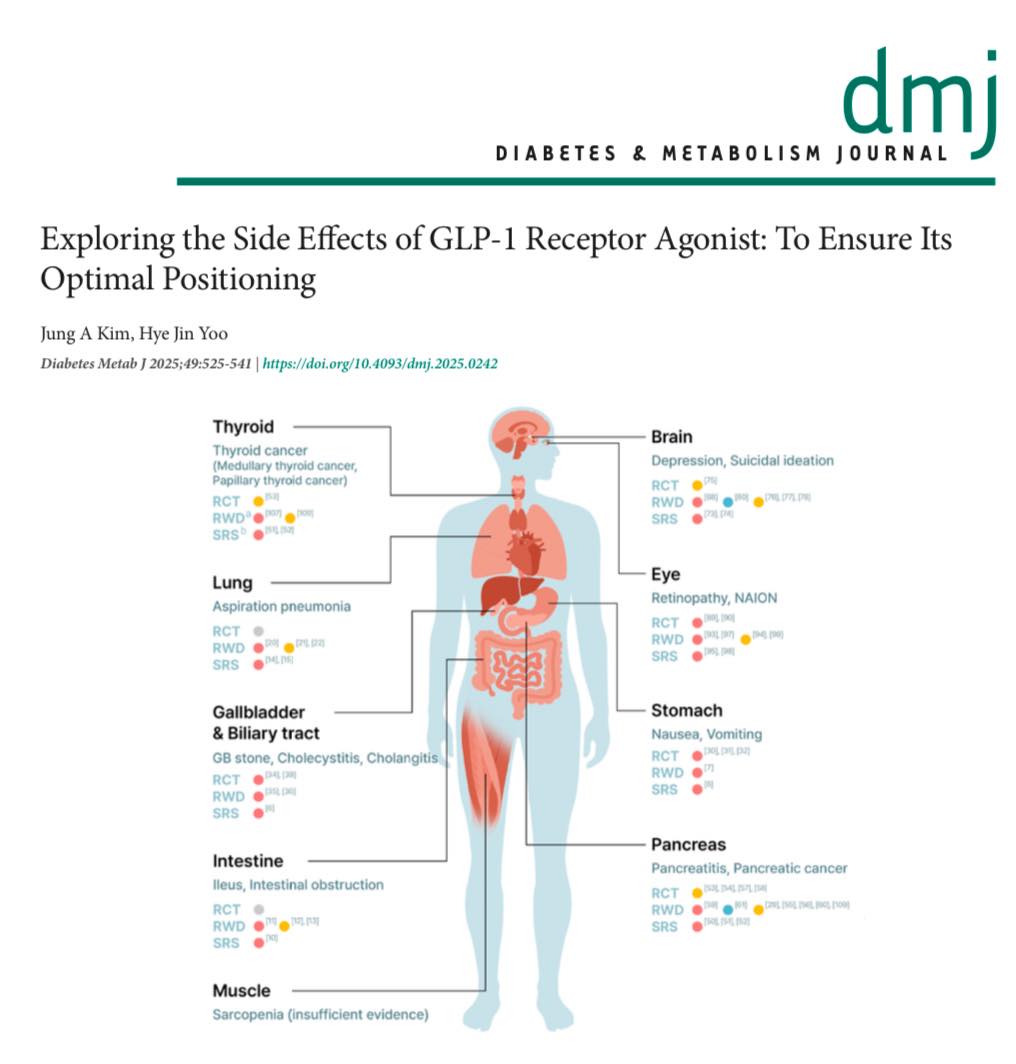 Exploring the Side Effects of GLP-1 Receptor Agonist: To Ensure Its ...